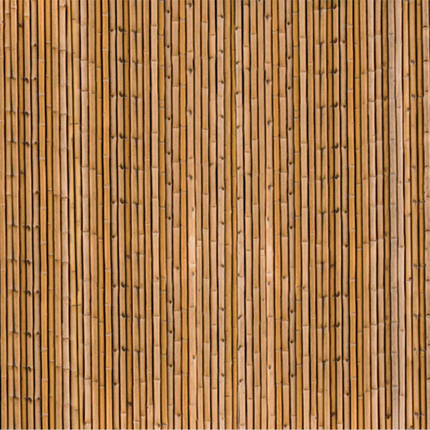 Brise vue occultant imprimé bambou 1,8 x 10 M 160 gr /m²